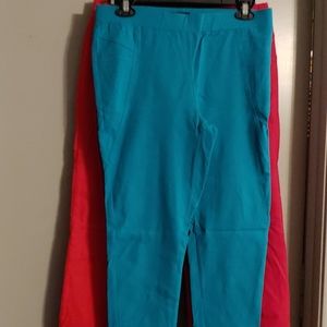 Teal zip ankle skinny pant